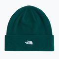 Žieminė kepurė The North Face Norm Beanie hunter green