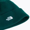 Žieminė kepurė The North Face Norm Beanie hunter green 2