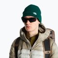 Žieminė kepurė The North Face Norm Beanie hunter green 3