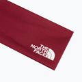 Lankelis galvai The North Face Base burgundy crush 3