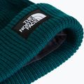 Žieminė kepurė The North Face Salty Lined pacific teal 2
