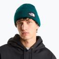 Žieminė kepurė The North Face Salty Lined pacific teal 3