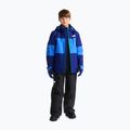 Vaikiškos slidinėjimo kelnės The North Face Freedom Insulated Bib tnf black 4