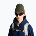 Žieminė kepurė The North Face Dock Worker Recycled Beanie new taupe green 3
