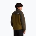 Vaikiškas flisinis džemperis The North Face Yumiori 1/4 Zip caraway seed/ne 5