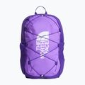 Miesto kuprinė The North Face Court Jester elevation purple