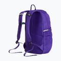 Miesto kuprinė The North Face Court Jester elevation purple 3