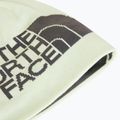 Žieminė kepurė The North Face Reversible Highline anthracite grey 2
