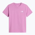 Vaikiški marškinėliai The North Face Evolution Simple Dome SS Tee hushed lavender 4