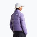 Moteriška pūsta striukė The North Face Hydrenalite Down grounded plum 3