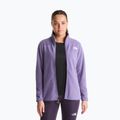 Vyriškas flisinis džemperis The North Face Glacier Fleece grounded plum 4