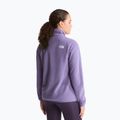 Vyriškas flisinis džemperis The North Face Glacier Fleece grounded plum 3