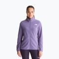 Vyriškas flisinis džemperis The North Face Glacier Fleece grounded plum