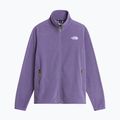 Vyriškas flisinis džemperis The North Face Glacier Fleece grounded plum 5