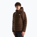 Vyriška pašiltinta striukė The North Face Aconcalgia Hooded dark chestnut 4