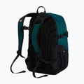 Miesto kuprinė The North Face Borealis Classic pacific teal/restorative 3