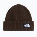 Žieminė kepurė The North Face Salty Lined dark chestnut