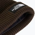 Žieminė kepurė The North Face Salty Lined dark chestnut 2