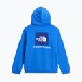 Vaikiškas džemperis The North Face Evolution Box NSE Pullover Hoodies active blue 2