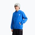 Vaikiškas džemperis The North Face Evolution Box NSE Pullover Hoodies active blue 5