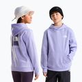 Vaikiškas džemperis The North Face Evolution Box NSE Pullover Hoodies pale plum