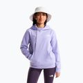 Vaikiškas džemperis The North Face Evolution Box NSE Pullover Hoodies pale plum 2