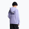 Vaikiškas džemperis The North Face Evolution Box NSE Pullover Hoodies pale plum 5