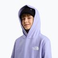 Vaikiškas džemperis The North Face Evolution Box NSE Pullover Hoodies pale plum 6