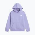 Vaikiškas džemperis The North Face Evolution Box NSE Pullover Hoodies pale plum 7