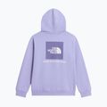 Vaikiškas džemperis The North Face Evolution Box NSE Pullover Hoodies pale plum 8
