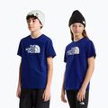 Vaikiški marškinėliai The North Face Evolution Half Dome SS Tee bold blue 3