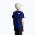 Vaikiški marškinėliai The North Face Evolution Half Dome SS Tee bold blue 5