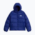 Vaikiška pūsta striukė The North Face Hydrenalite Down Hooded bold blue 5