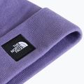 Žieminė kepurė The North Face Dock Worker Recycled Beanie grounded plum 2