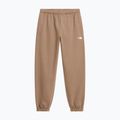Moteriškos kelnės The North Face Evolution Simple Dome Regular garnet 4