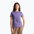 Moteriški marškinėliai The North Face Evolution Simple Dome Slim SS grounded plum