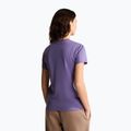 Moteriški marškinėliai The North Face Evolution Simple Dome Slim SS grounded plum 3