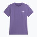 Moteriški marškinėliai The North Face Evolution Simple Dome Slim SS grounded plum 4