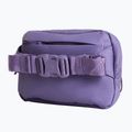 Juosmes krepšys The North Face Terra Lumbar 1 l grounded plum/endless 3