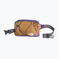 Juosmes krepšys The North Face Terra Lumbar 1 l utility brown/peak purple