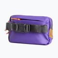 Juosmes krepšys The North Face Terra Lumbar 1 l utility brown/peak purple 3