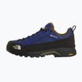 Vyriški priėjimo prie trasų batai The North Face Verto Alpine GTX bold blue/caraway seed