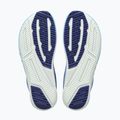 Vyriški bėgimo batai Altra Vanish Pulse victoria blue/bluefish 4