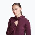 Moteriškas žygio džemperis Icebreaker Merino 300 Realfleece Descender Zip Hoodie dark berry 4