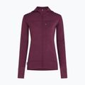 Moteriškas žygio džemperis Icebreaker Merino 300 Realfleece Descender Zip Hoodie dark berry 11