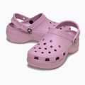 Moteriškos šlepetės Crocs Classic Platform Clog hydrangea 11