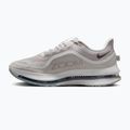 Vyriški bėgimo batai Nike Pegasus Premium vast grey/off white/light smoke grey 9