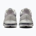 Vyriški bėgimo batai Nike Pegasus Premium vast grey/off white/light smoke grey 11