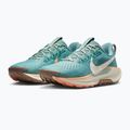 Moteriški bėgimo batai Nike Pegasus Trail 5 cannon / soft pearl / mink brown 3
