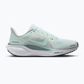 Moteriški bėgimo batai Nike Pegasus 41 white / mint foam / pure platinum / cannon 8